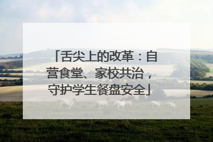 舌尖上的改革：自营食堂、家校共治，守护学生餐盘安全